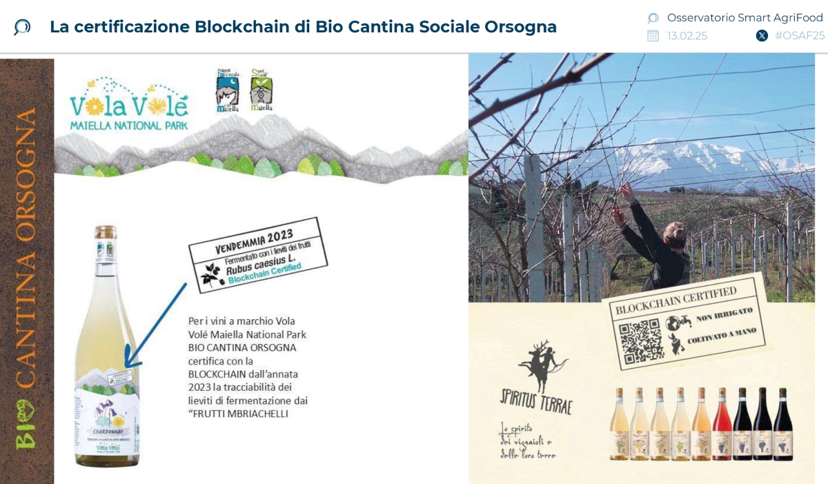La certificazione blockchain di Bio Cantina Sociale Orsogna